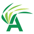 dfifoodservice.com icon