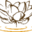 dhammacitta.org icon