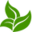 dhseedharvestco.com icon