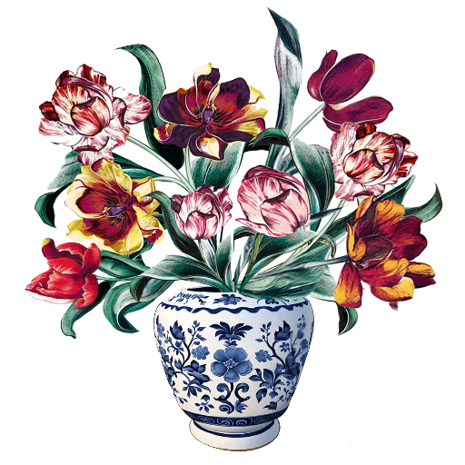 dianaelizabethblog.com icon