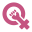 diariofemenino.com.ar icon