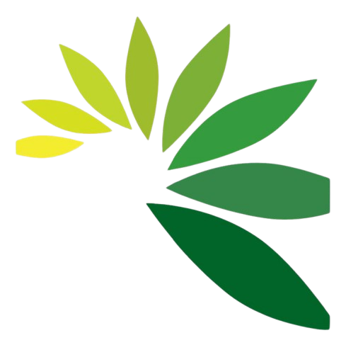 digestistart-en-en.com icon