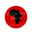 digginherroots.com logo