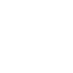digital-island.co.uk icon