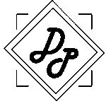 digitizeportfolio.com icon