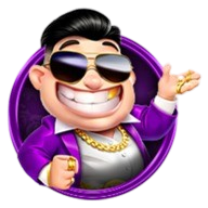dinkelkissen.com icon