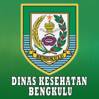 dinkesbengkuluselatan.com icon