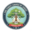 dinkesdasangihe.id icon