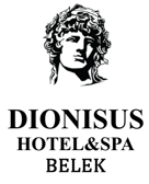 dionisushotel.com icon
