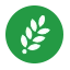 direct-aid.org icon