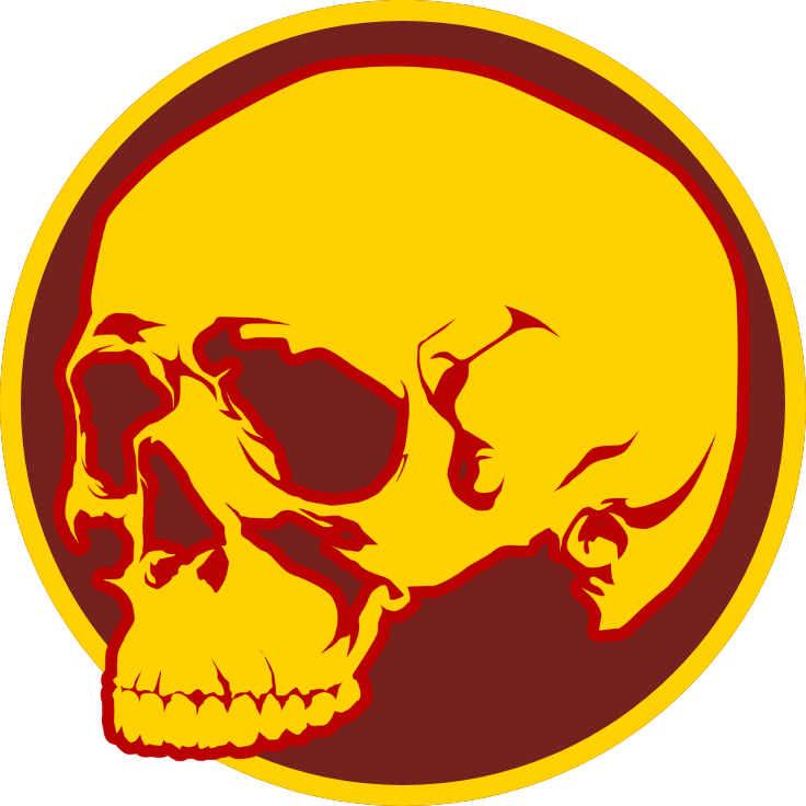 direwitfilms.com icon