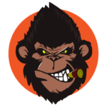 dirtmonkeyshop.com icon