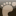 dirtyfeetgirls.com icon