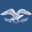 disclosures.com icon