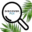 discoverfiji.com icon