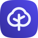 dislace.com icon
