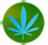 dispensary.vegas icon