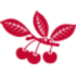 distilleriespeureux.com icon