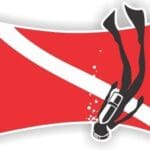 diveonit.com icon