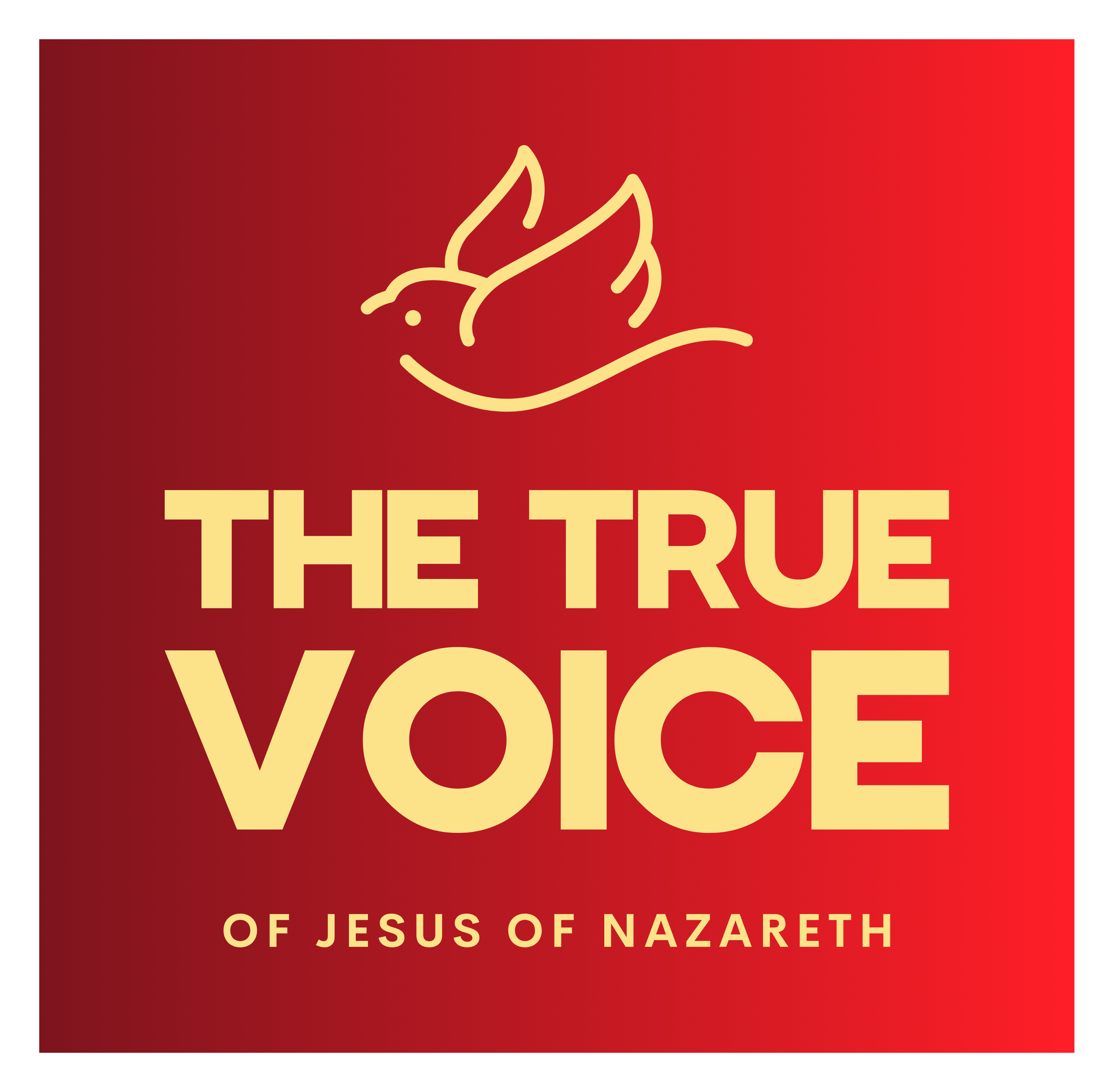 divineperfection.org icon