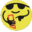 diydigital.com.au icon