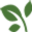 djgreen.com icon