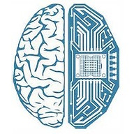 dkv.global logo