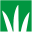 dlf.ru icon
