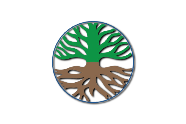 dlhcianjur.id icon
