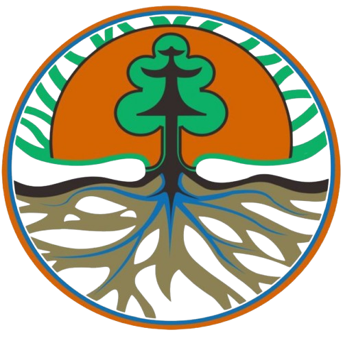 dlhsukoharjo.id icon