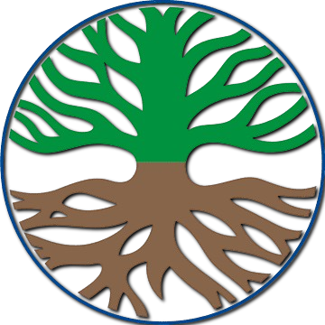 dlhwalesi.com icon