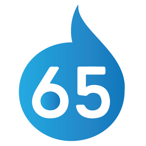dmi65.com icon