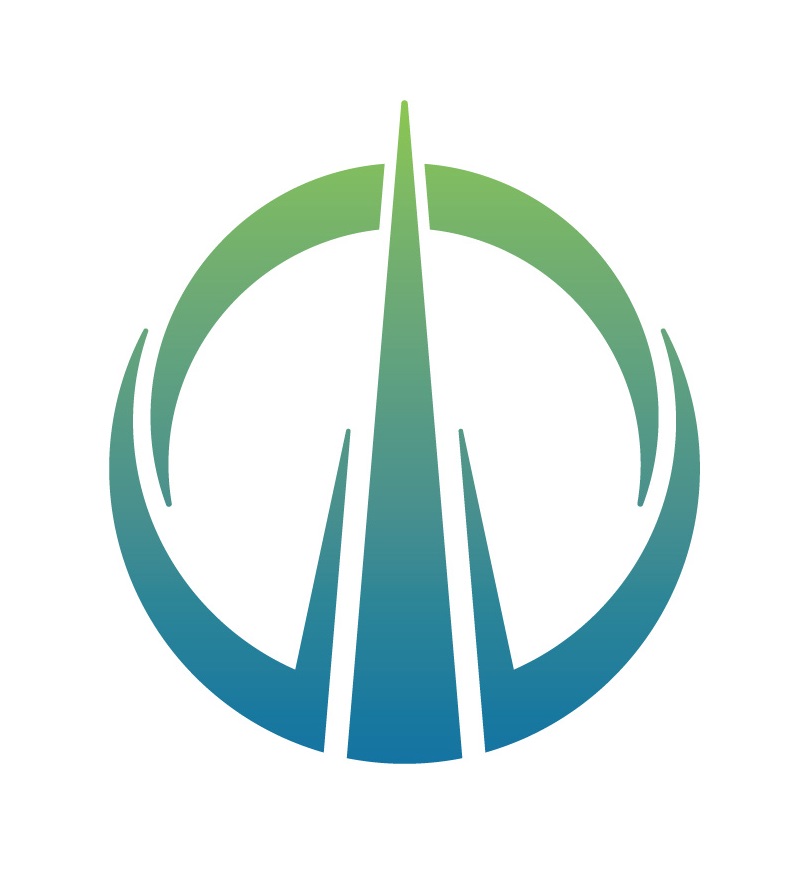 dnkpro.ru icon