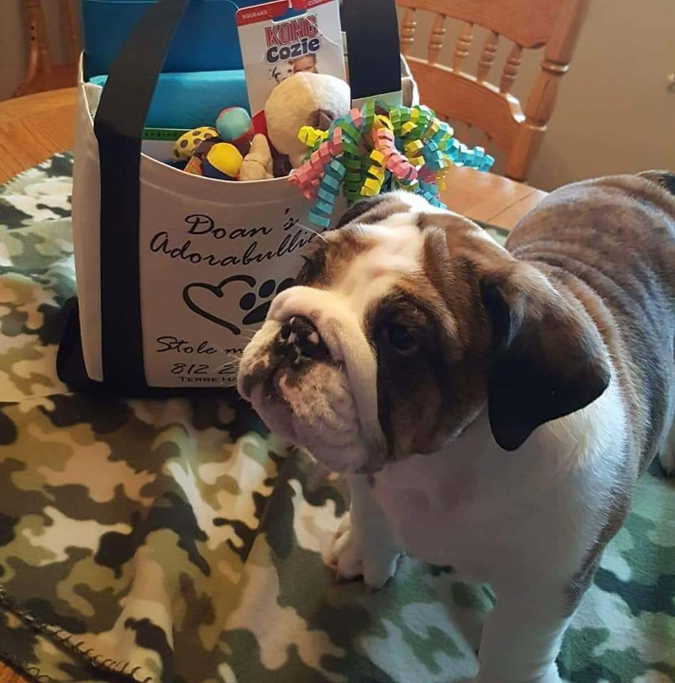 doansadorabulliesenglishbulldogs.com icon