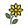 Bindu icon