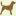 dogontrack.nl icon