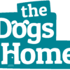 dogshome.net icon