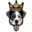 dogskingdompets.com icon