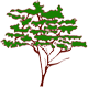 Dogwood Golf Club logo