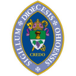dohio.org icon