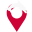 Dolphin IR logo