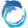 dolphinmethod.com icon