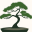 domnaszychmarzen.pl icon
