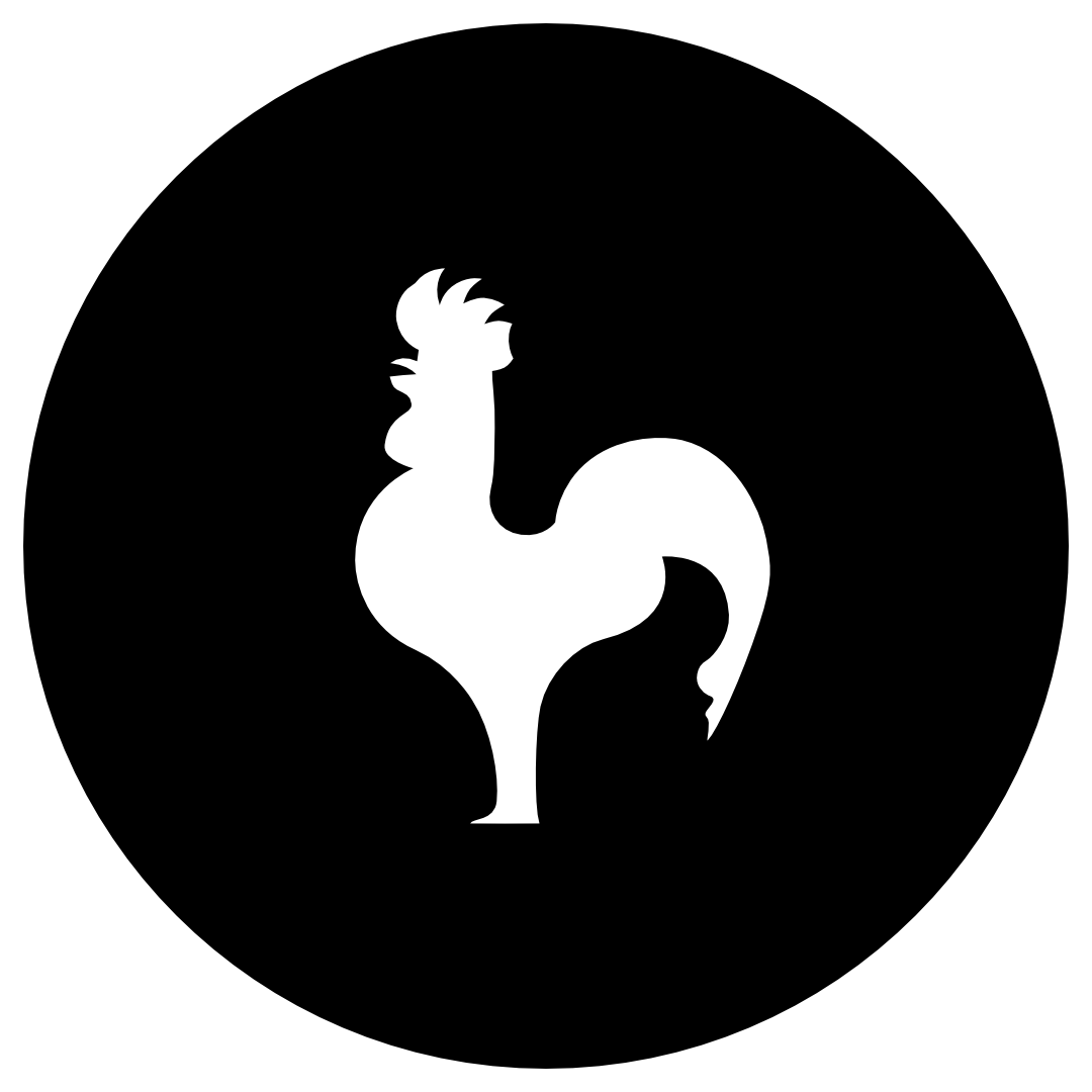 dool.agency icon