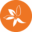 dooleyandassociates.com icon