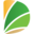 doronichi.ru icon