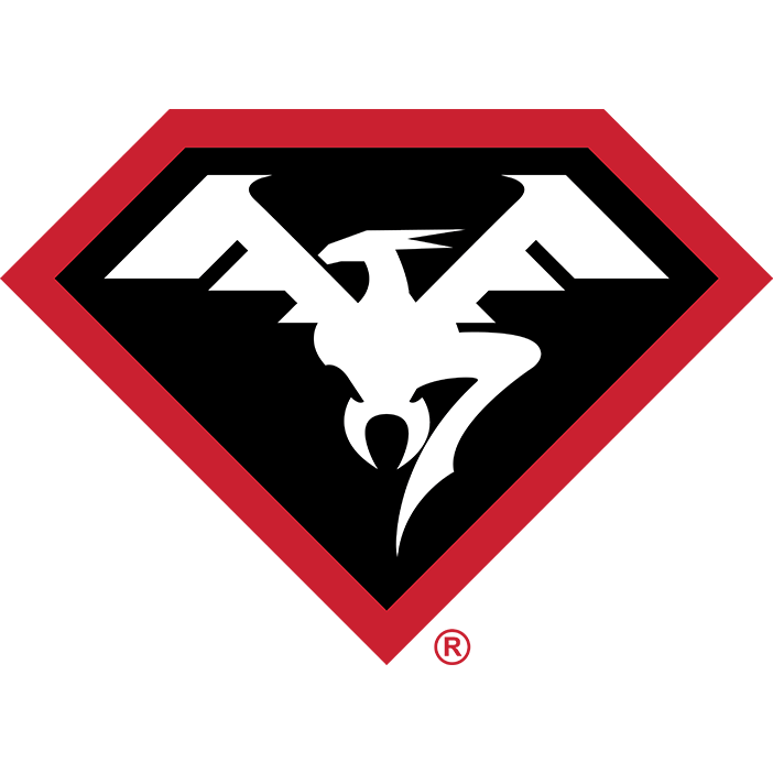doublestarusa.com icon