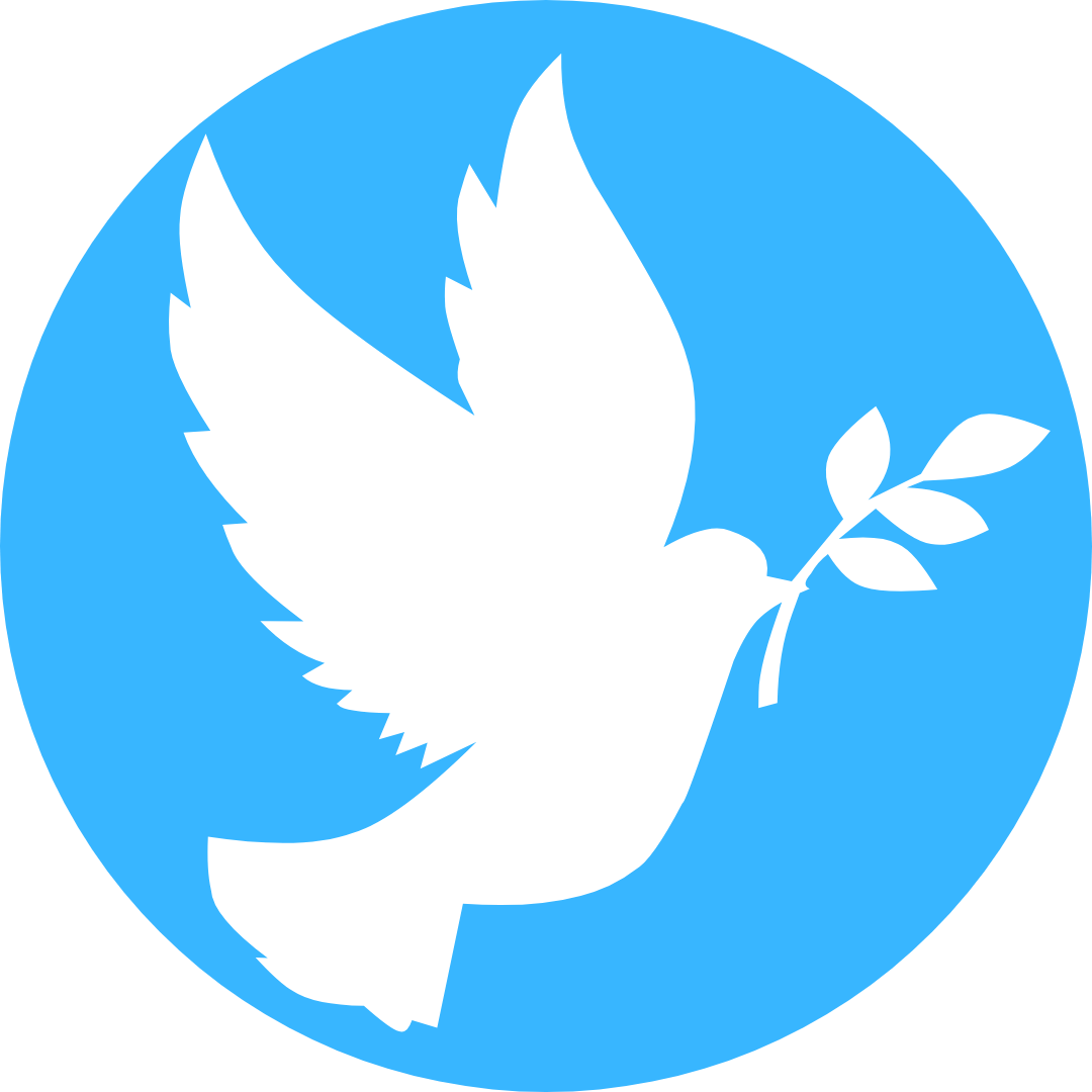 Payam Arasta Ta Dove Cleaning Services logo