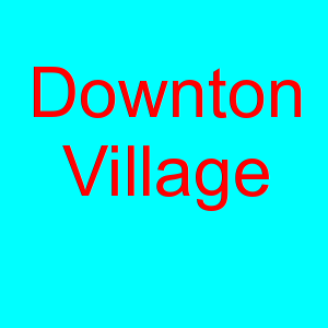 downtonvillage.co.uk icon