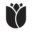 dpkfloralmagazine.com icon